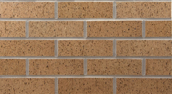 Endicott Desert Ironspot Light Velour picture of beige Brick