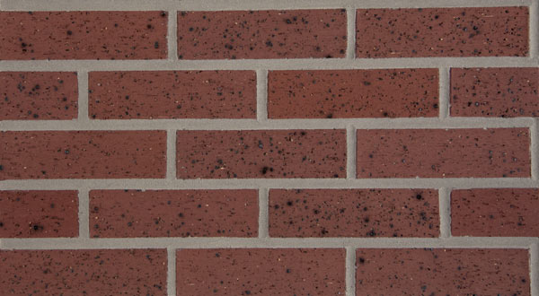 Endicott Red Ironspot, Velour picture of Red spotted brick