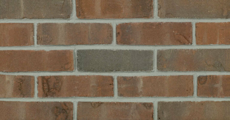 Glen Gery Stratford - Caledonia Plant Picture, oranges, browns dark veins.